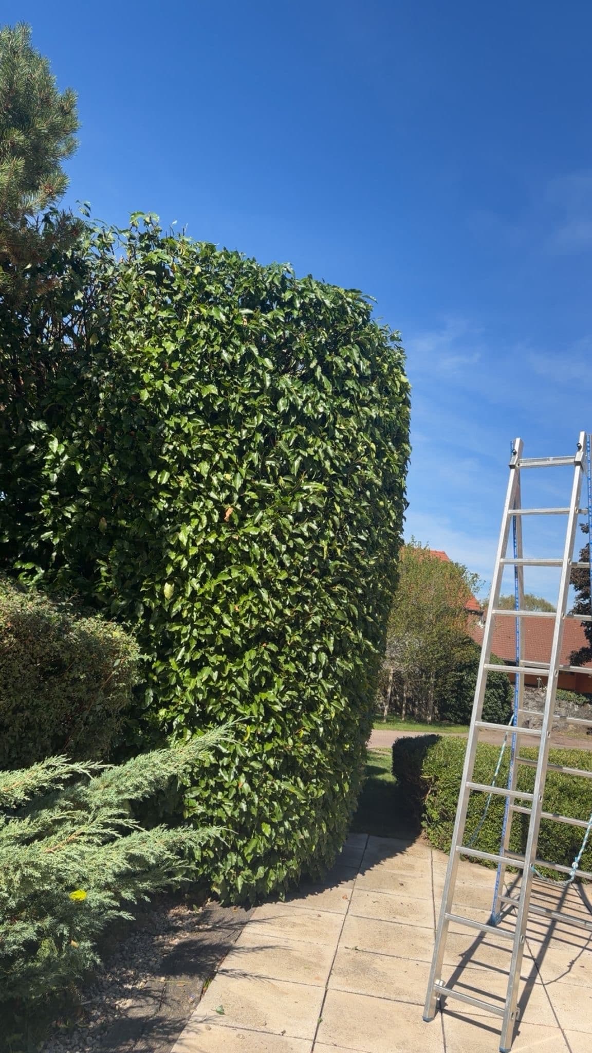 Chantier JM Élagage Sallanches — réalisation 3