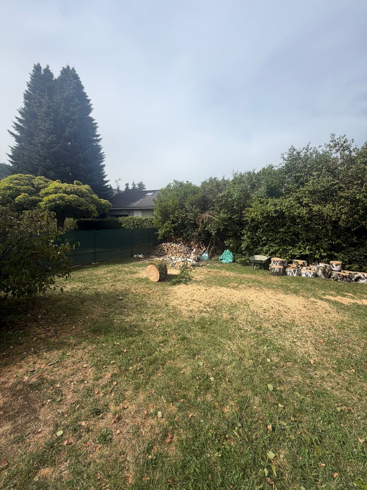 Chantier JM Élagage Sallanches — réalisation 7